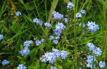 Chałpa na skarpie - Foto 32