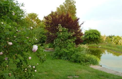 Gutshaus Altbauhof - Foto 30