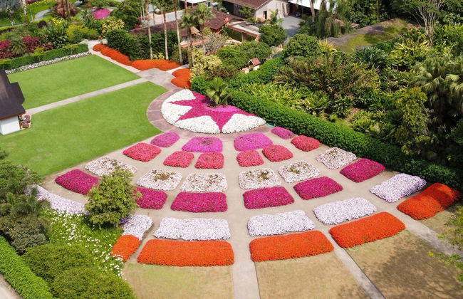 Tour rural por Joinville - Foto 1