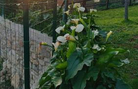 Apartamentos Rurales Sariar - Foto 30