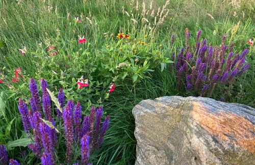 Seaview luxury pod - Photo 15