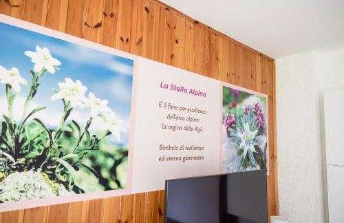 La Casa di Luisa, Un tuffo nel verde! - Foto 27