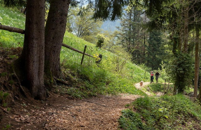 Cosy Flat in Meribel Close to the ski Lifts - Foto 25
