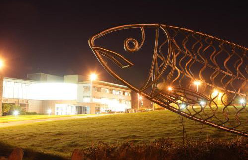 Causeway Holiday Homes - Foto 46