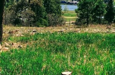 BEAUTIFUL Rustic Modern Remodel IDEAL Location!! - Foto 13