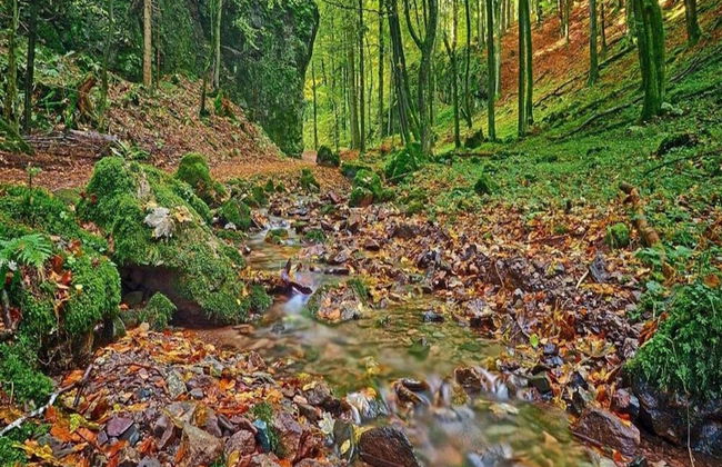 Charming Bungalow in Tabarz Thüringer Wald With Garden - Foto 13