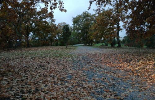 Quinta Rural - Nossa Sra do Carmo. Teixoso - Foto 51