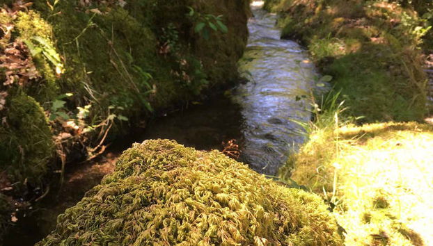 Nature in northern Portugal