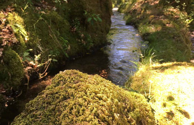 Senderismo acuático por Sistelo - Foto 4