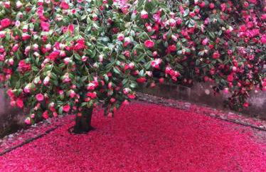 Morgadio da Calcada Douro Wine&Tourism - Photo 17