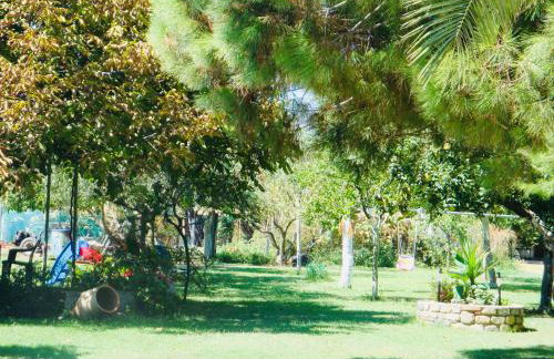 Nina Holidays - Foto 14