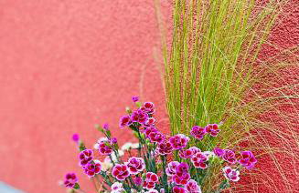 Apartamenty Carpe Diem - Photo 32