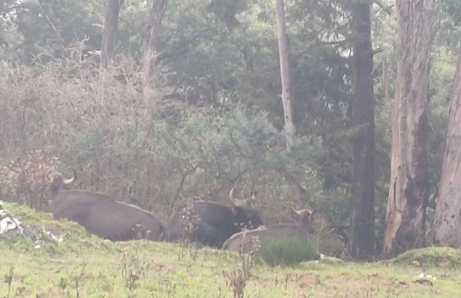 Bon Sejour Ooty Hill View Resort & Hotel - Foto 37