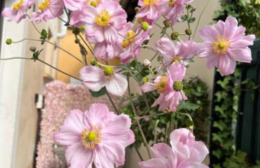 Dans Maison privée Appartement de charme, 70m2 avec pergola Et jardin à 15min centre de Strasbourg Chez Regine - Foto 17