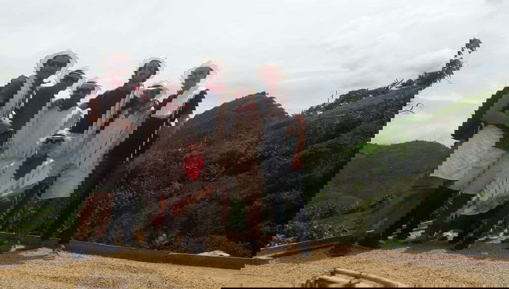 Touristes appréciant le café qui sèche au soleil !