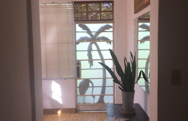 Holiday rental in Havana with garden and terrace - Photo 11