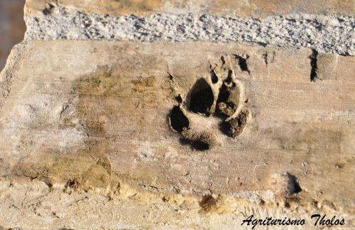 Agriturismo Tholos - Photo 37