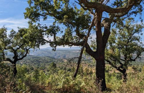 Pura Vida Alentejo by Portus Alacer - Foto 14