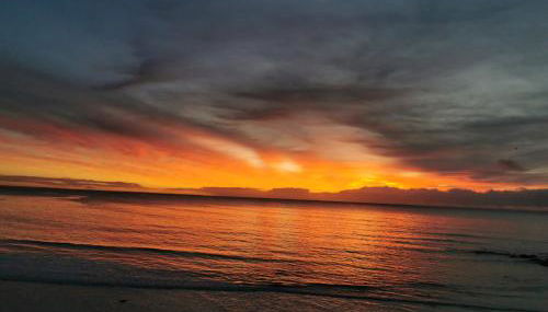 appartement fleurs - Foto 3