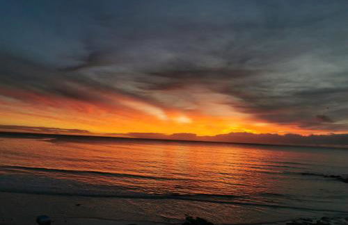 appartement fleurs - Foto 3