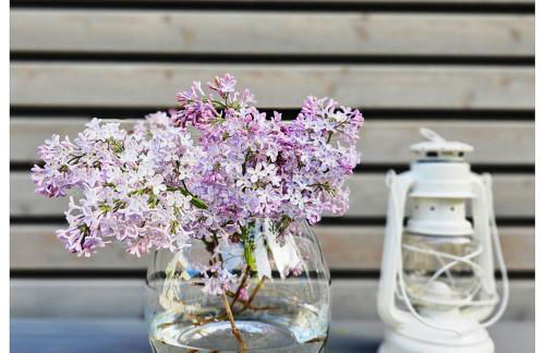 ElbQuartier Apartments Magdeburg 'Fabrik61' - Foto 7