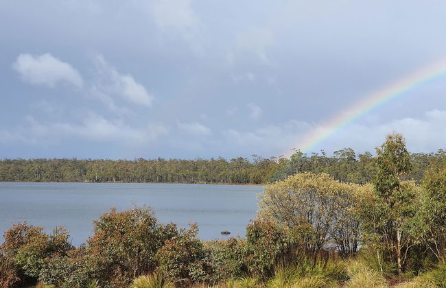 Lake Yalleena Nature Retreat - Foto 25