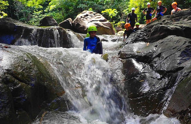 Gite Bois-Cannelle - Photo 22