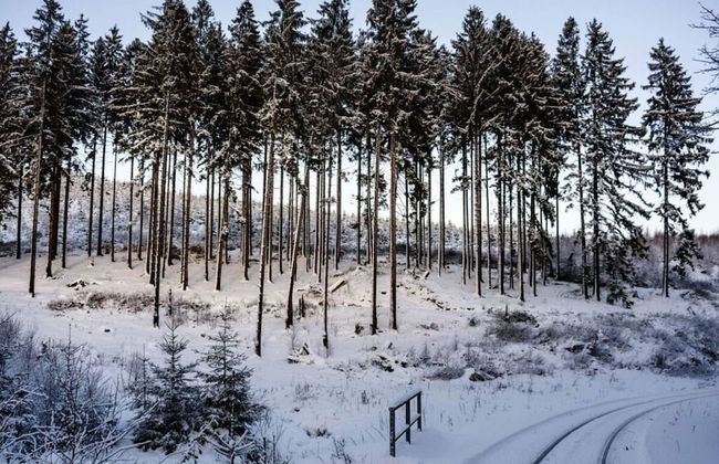 Granetal.quartier-apartment Harzidylle - Foto 11