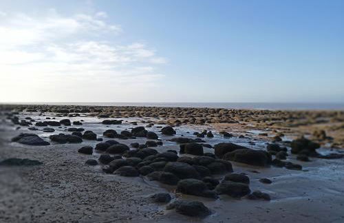 Driftwood Cottage Holme next the sea pets go free - Foto 59