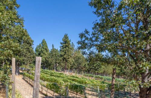 Happenstance Vineyards King Rooms - Foto 33