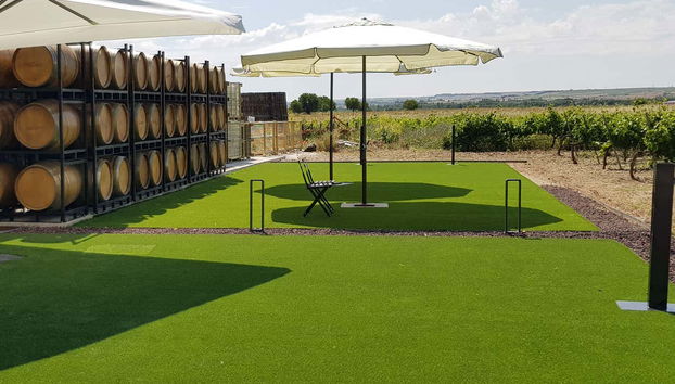 Disfrutando de la visita