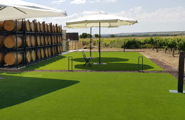 Concejo Bodegas Tour - Photo 3