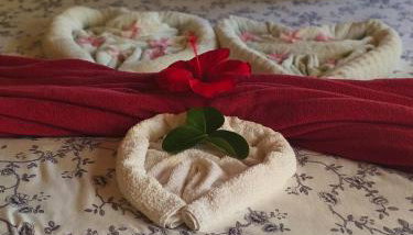 Villa da Apa - Foto 4