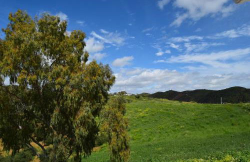 Mount Tatum - Foto 23