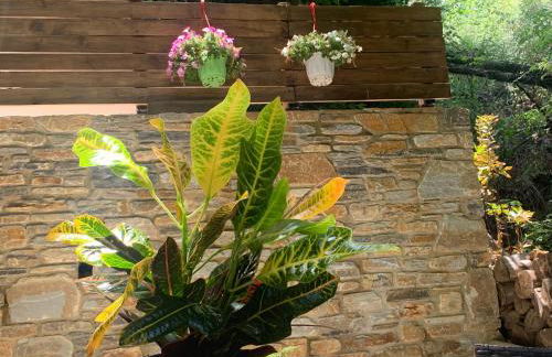 Pelion 7 Lives - Foto 68