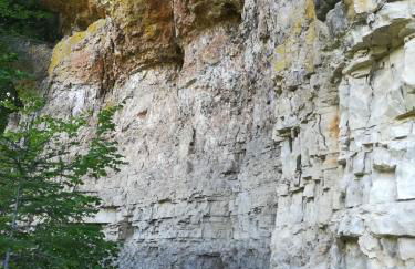 Ferienwohnung Hasenfratz - Foto 19