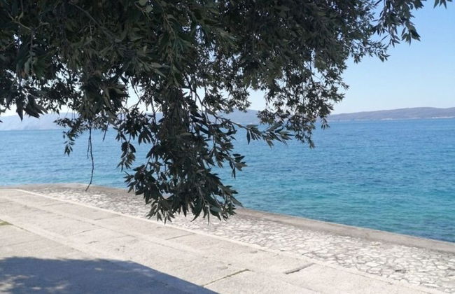 Roman - Mobile Homes With Pool - H1 Mobile Home 1 - Photo 20