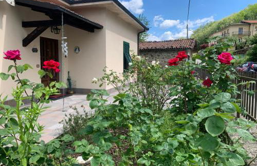 Birillina al Poggio - Foto 20