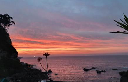 Pura vida Estaño - Foto 31