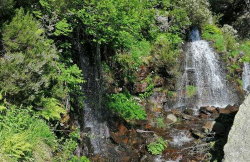 Anatiduero - Foto 21