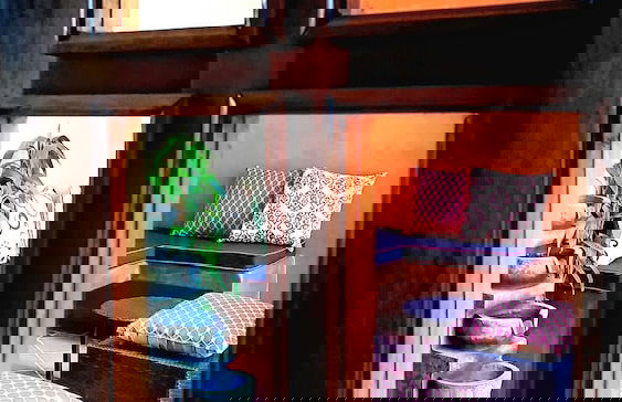 La Isabela Suites - Photo 35