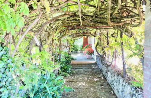 Villa Buonsignori - Wine & Olive Oil Farm - Foto 36