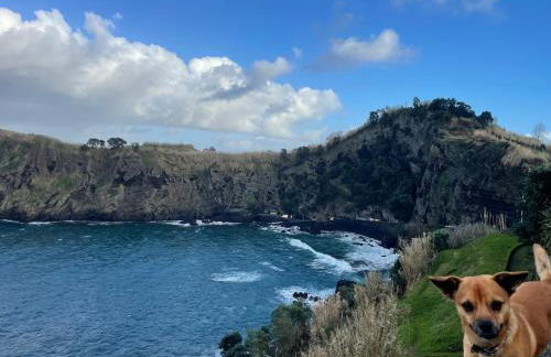 Vila Pilar Praia - Rural Apartment in the countryside of São Miguel - Photo 61