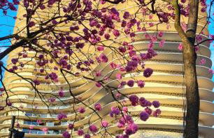 Loft Prime Hospedagem com elegância no coração de BH - Foto 21