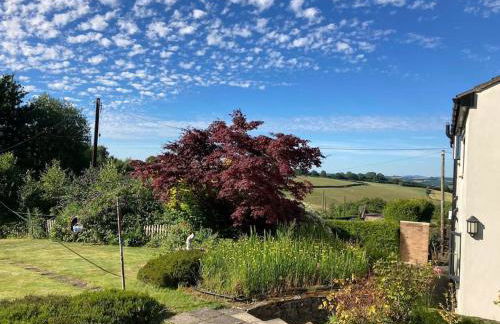 TheFunkyPigsty - Foto 15