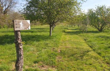 En Françaison Gîte en Lomagne Gersoise - Photo 42