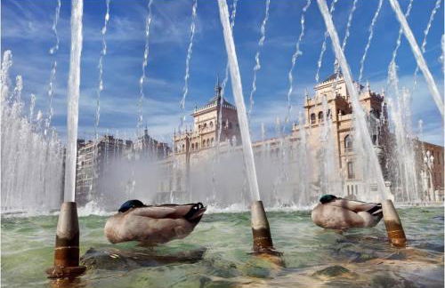 AdriVA Apartamento-Loft Imperial centro WIFI - Foto 36