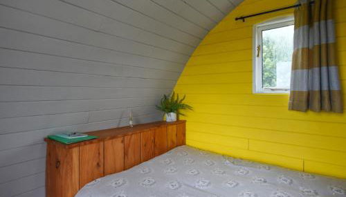 The Hedgehog Pod - Uk50067 - Photo 4