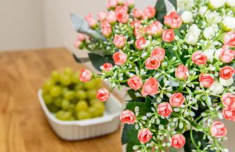 Fabuleux Studio - Photo 18