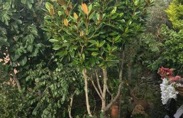 Bumble Bee Cottage - Photo 21